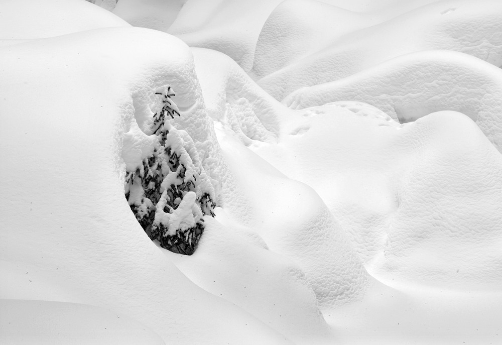 Фотографія Закутана великими снігами... / Володимир Дубас / photographers.ua