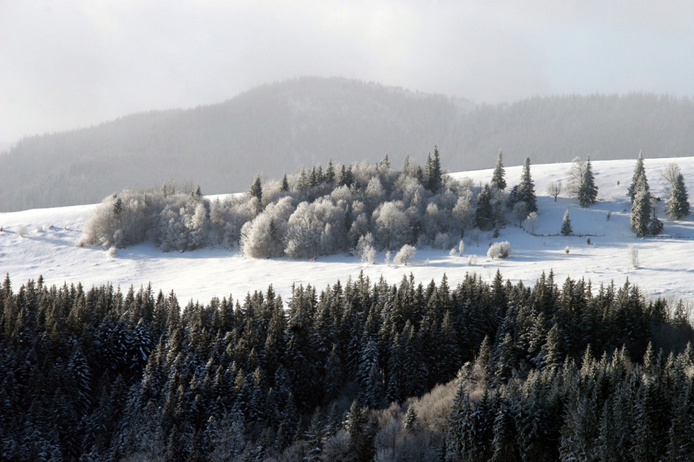Фотографія У горах біліють сніги / Володимир Дубас / photographers.ua