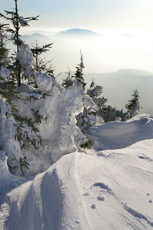Фотографія Снігу білого насипала зима... / Володимир Дубас / photographers.ua