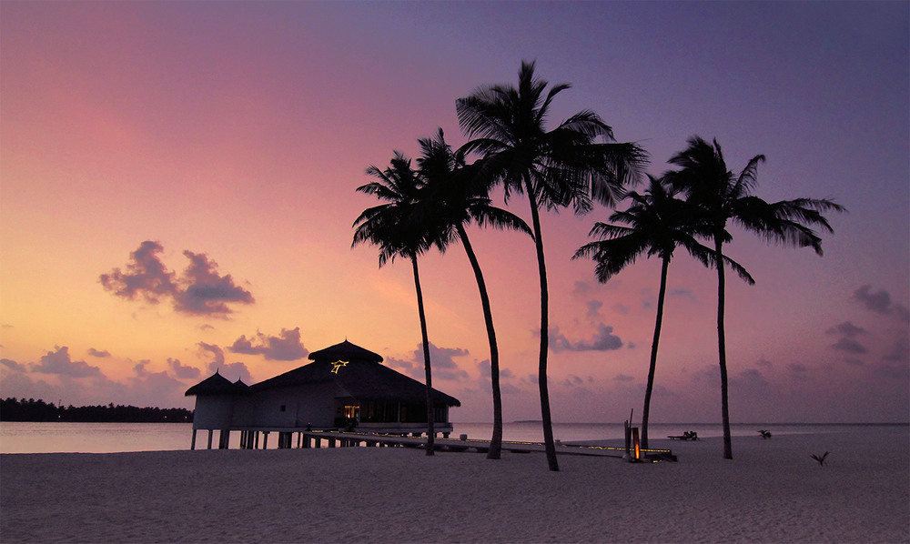 Фотографія п'ять пальм / binocular / photographers.ua