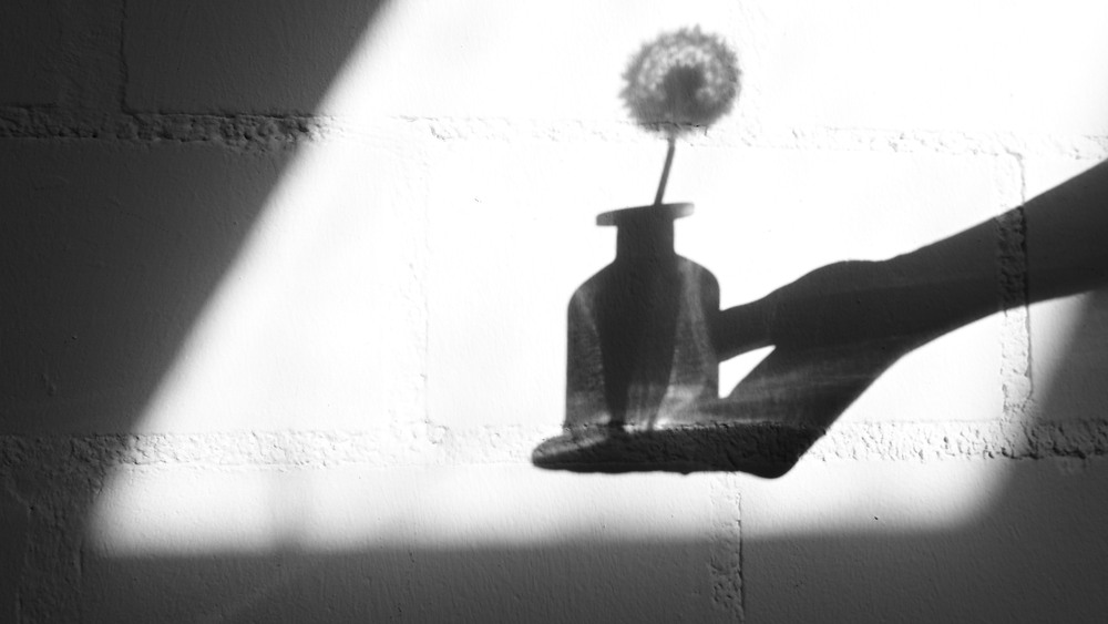 Фотографія Die Zerbrechlichkeit des Augenblicks / Стельян Гаргала / photographers.ua