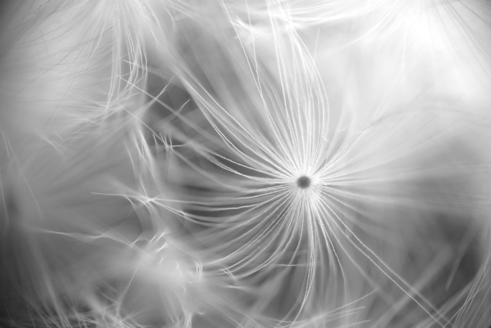 Фотографія Erwartung der Veränderung / Стельян Гаргала / photographers.ua