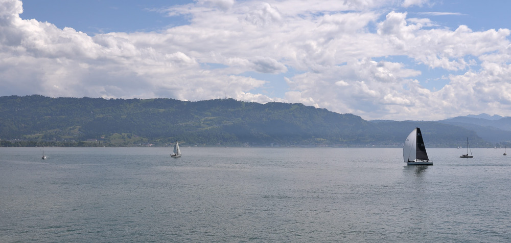 Фотографія Der See und die Segel / Стельян Гаргала / photographers.ua