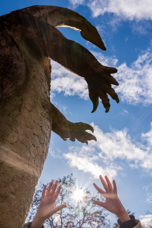 Фотографія Alles liegt in deinen Händen / Стельян Гаргала / photographers.ua