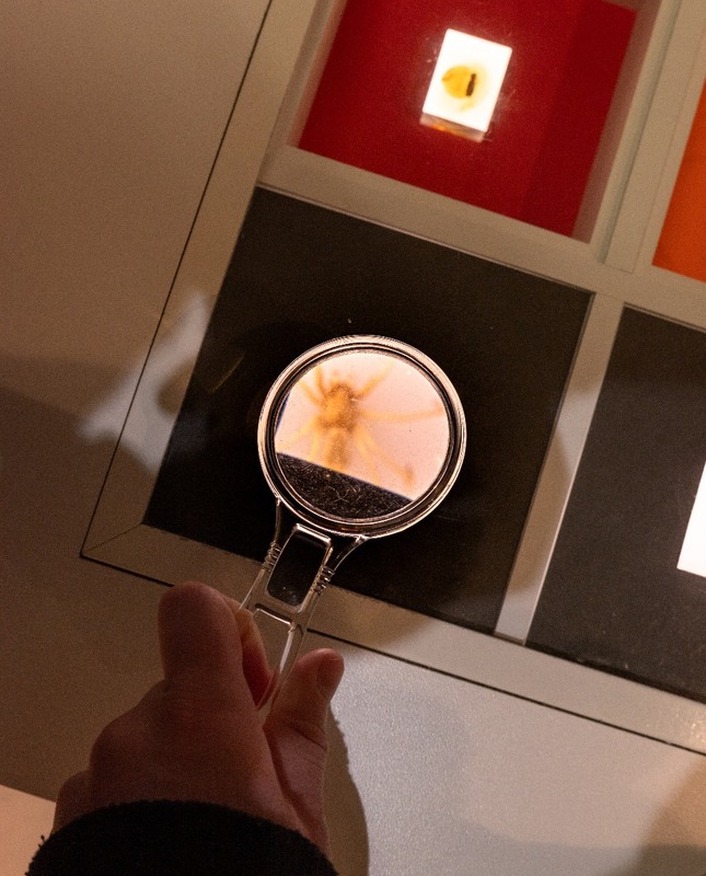 Фотографія Forscher / Стельян Гаргала / photographers.ua