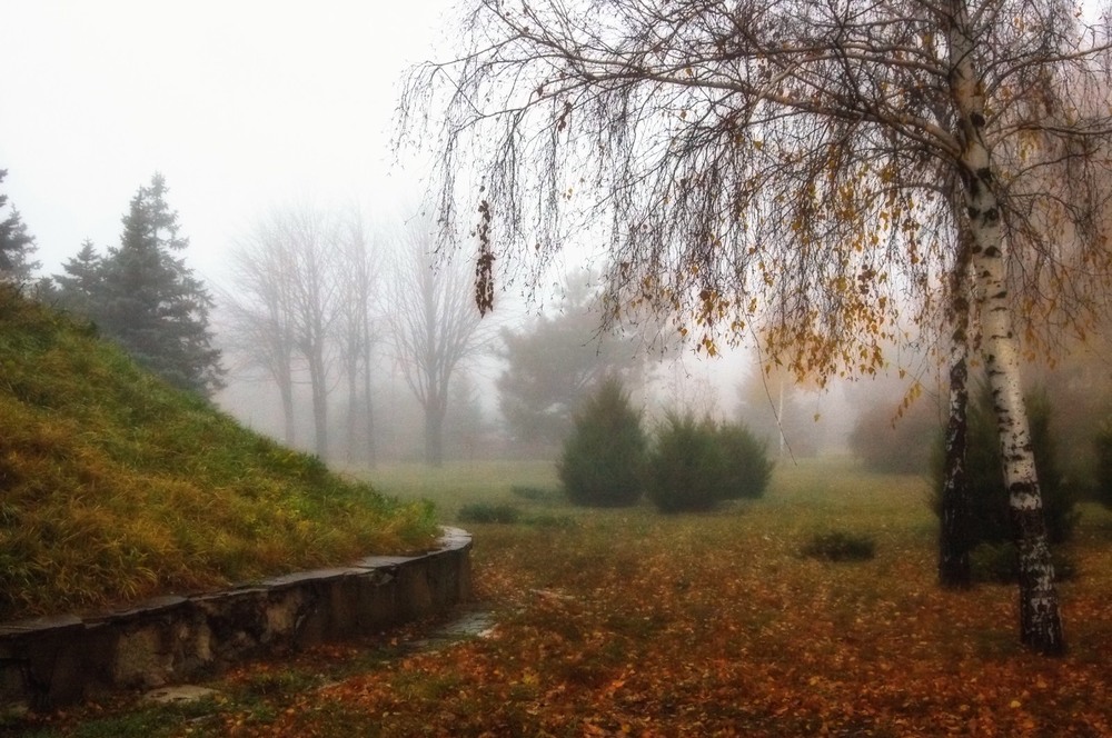 Фотографія Туманная осень / Стельян Гаргала / photographers.ua