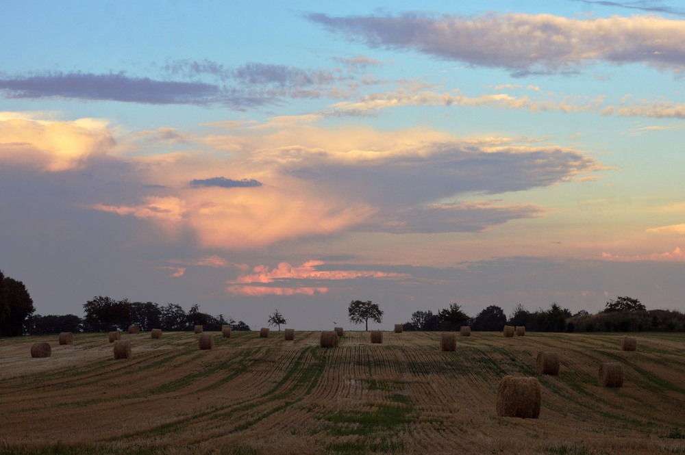 Фотографія Die Ruhe der Felder / Стельян Гаргала / photographers.ua