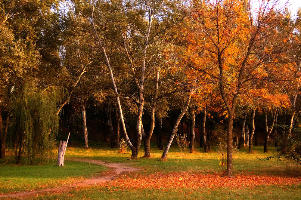 Фотографія Осенний парк / Стельян Гаргала / photographers.ua