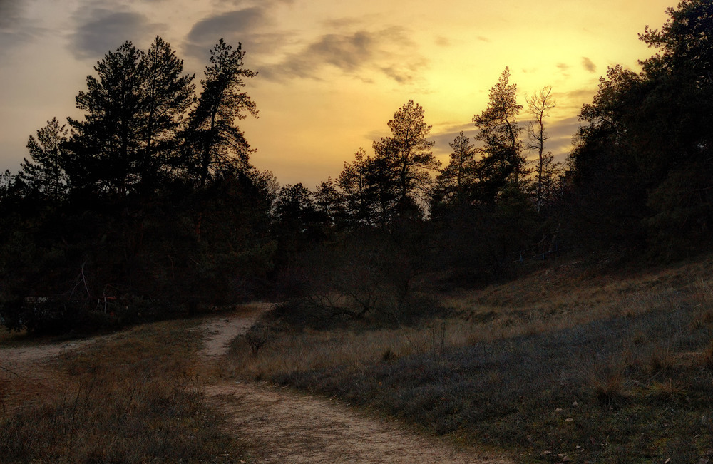 Фотографія Лесной закат / Стельян Гаргала / photographers.ua