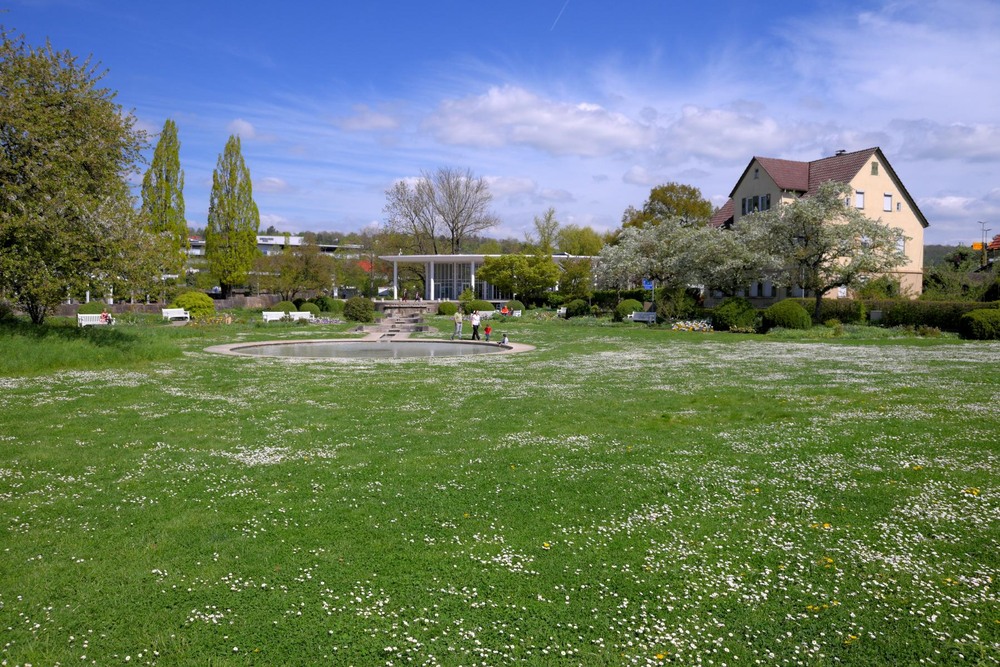 Фотографія Blütezeit / Стельян Гаргала / photographers.ua