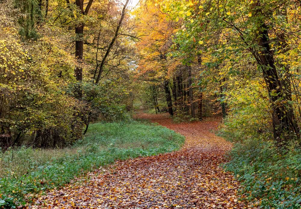 Фотографія Пейзаж / Стельян Гаргала / photographers.ua
