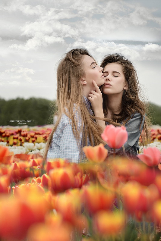Фотографія Tulips / Игорь Гончаров / photographers.ua