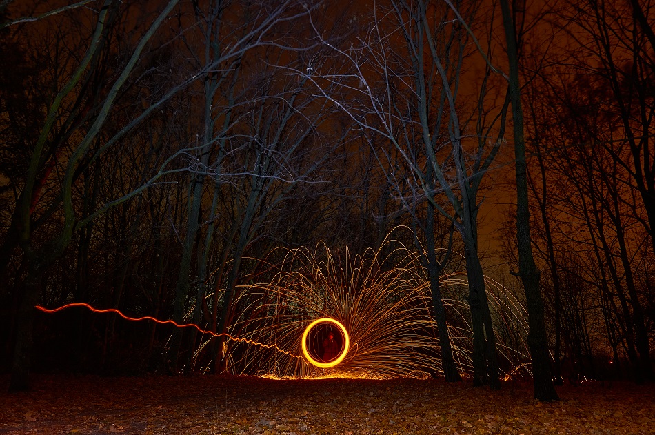 Фотографія Лесничий / Олександр Кардош / photographers.ua