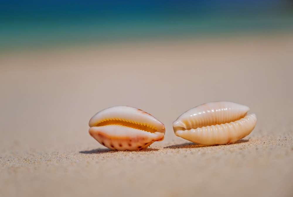 Фотографія Seaside memories / Сергій Вовк / photographers.ua