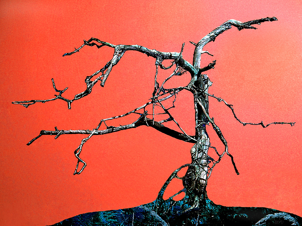 Фотографія Цена победы / Михайло В. / photographers.ua