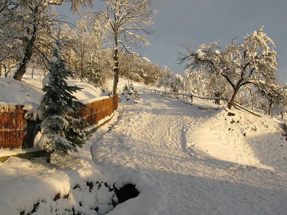 Фотографія Про зиму / Михайло В. / photographers.ua