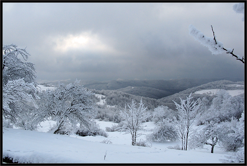 Фотографія Зима . / Михайло В. / photographers.ua