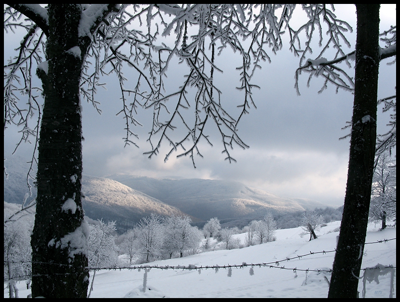 Фотографія Вікно в зиму / Михайло В. / photographers.ua