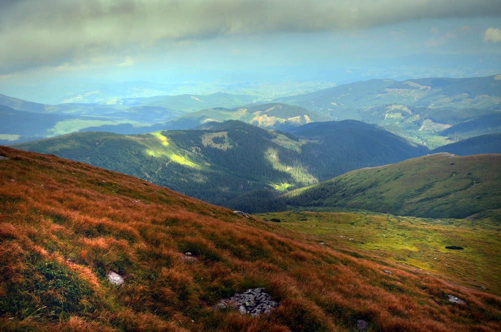 Фотографія *** / Михайло В. / photographers.ua