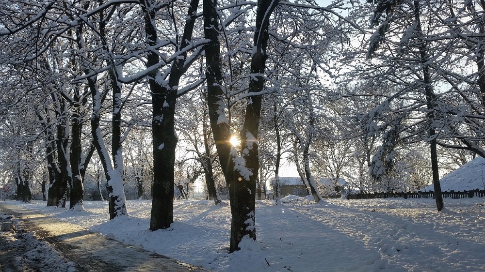 Фотографія зимний пейзаж / Олександр Смілянець / photographers.ua