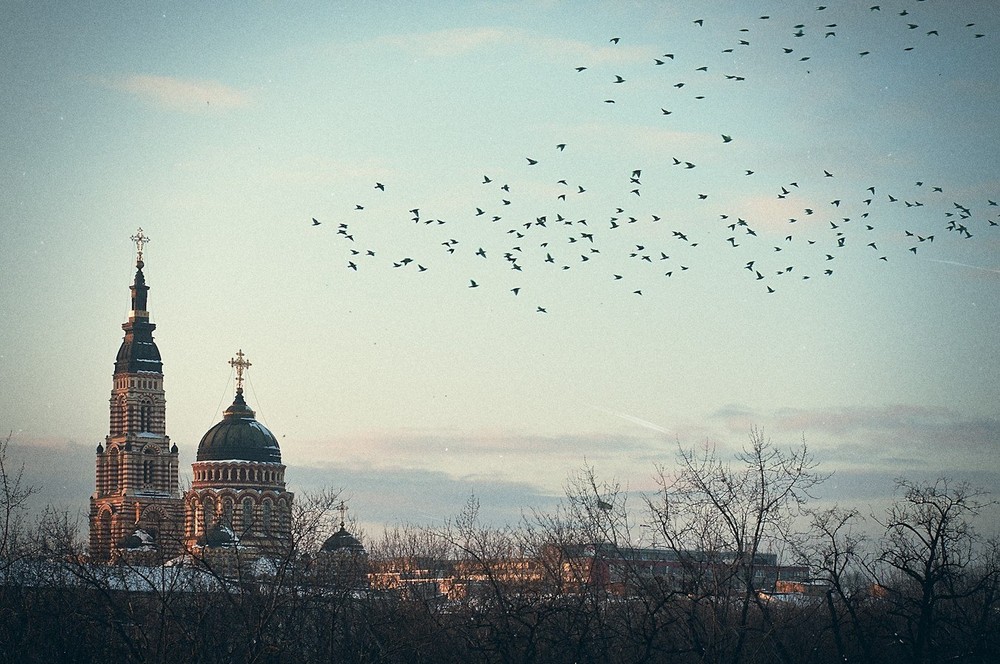 Фотографія На небе вороны, под небом монахи.. / Alexey Taganchin / photographers.ua