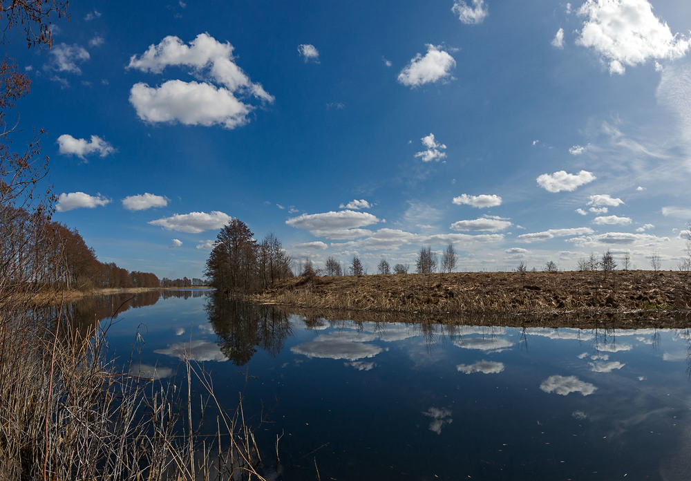 Фотографія Весняні відображення / Николай , Мороз / photographers.ua