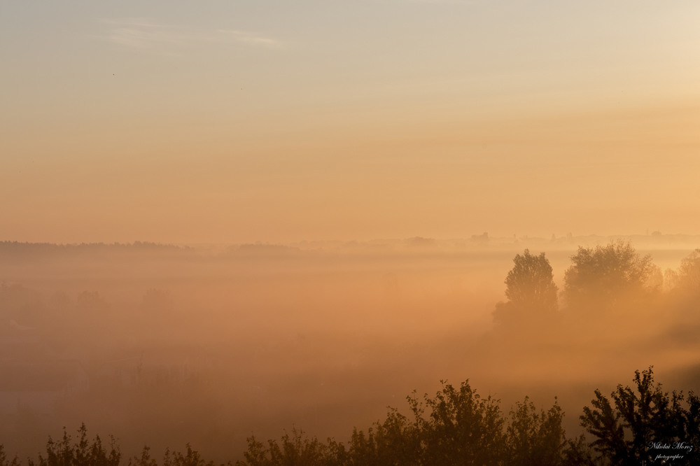 Фотографія Жовтневий туман за вікном / Николай , Мороз / photographers.ua