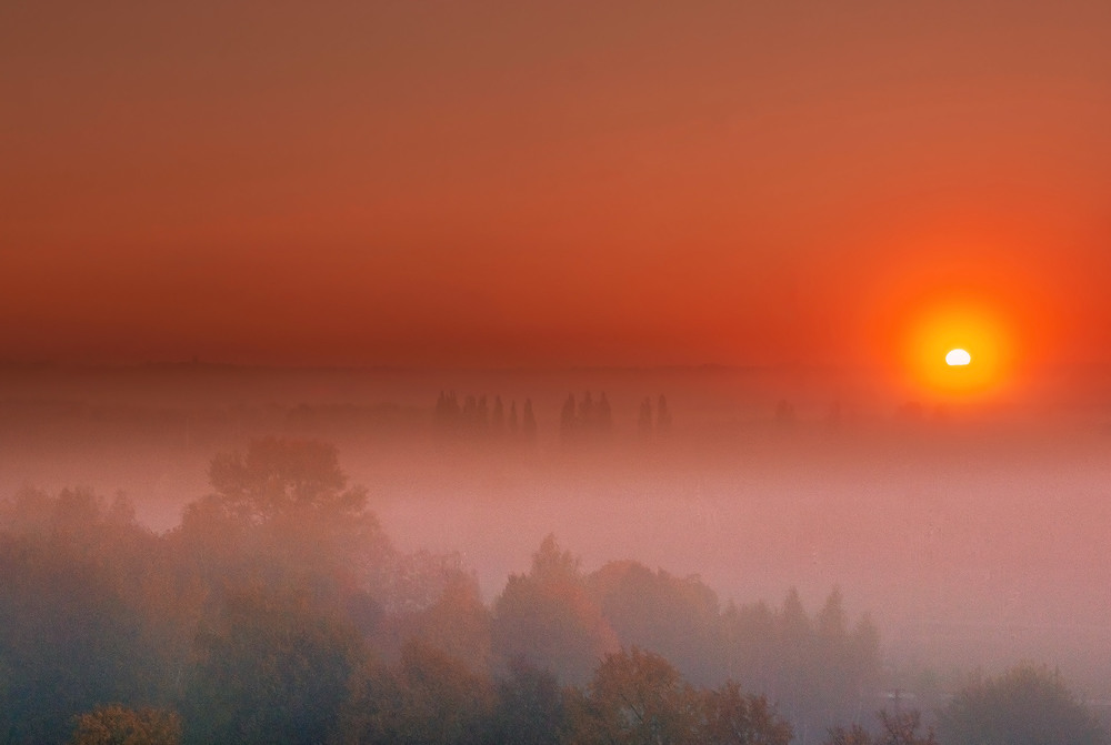 Фотографія Вставало сонце у тумані / Николай , Мороз / photographers.ua