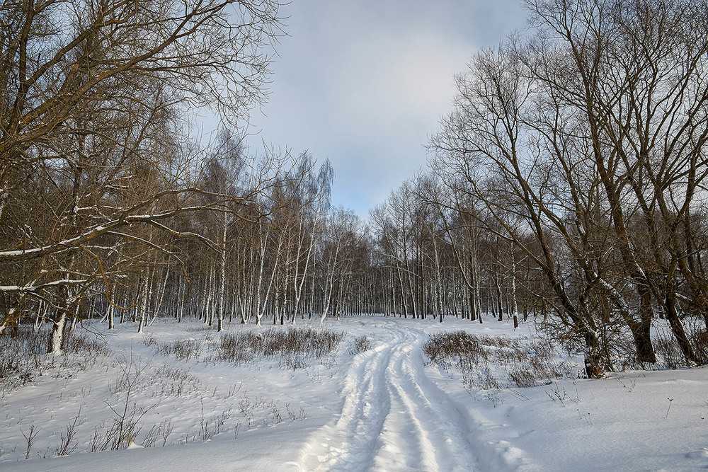 Фотографія Зимовими дорогами / Николай , Мороз / photographers.ua