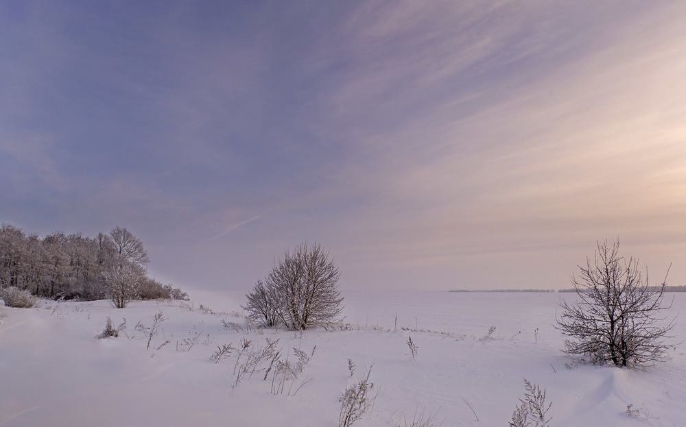Фотографія Зимове поле / Николай , Мороз / photographers.ua