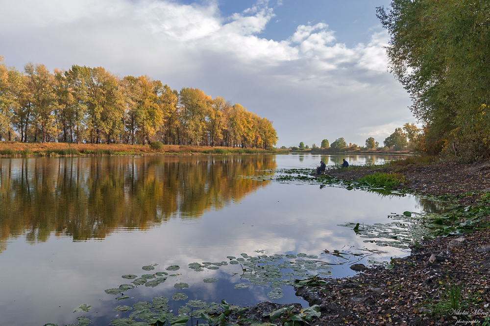 Фотографія Тихо на озері / Николай , Мороз / photographers.ua