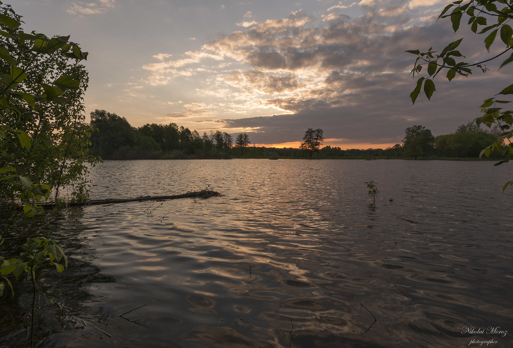 Фотографія На весняному озерці / Николай , Мороз / photographers.ua
