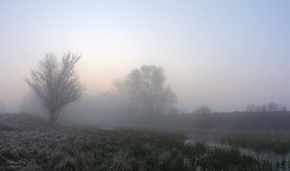 Фотографія Заміський ранок в тумані / Николай , Мороз / photographers.ua