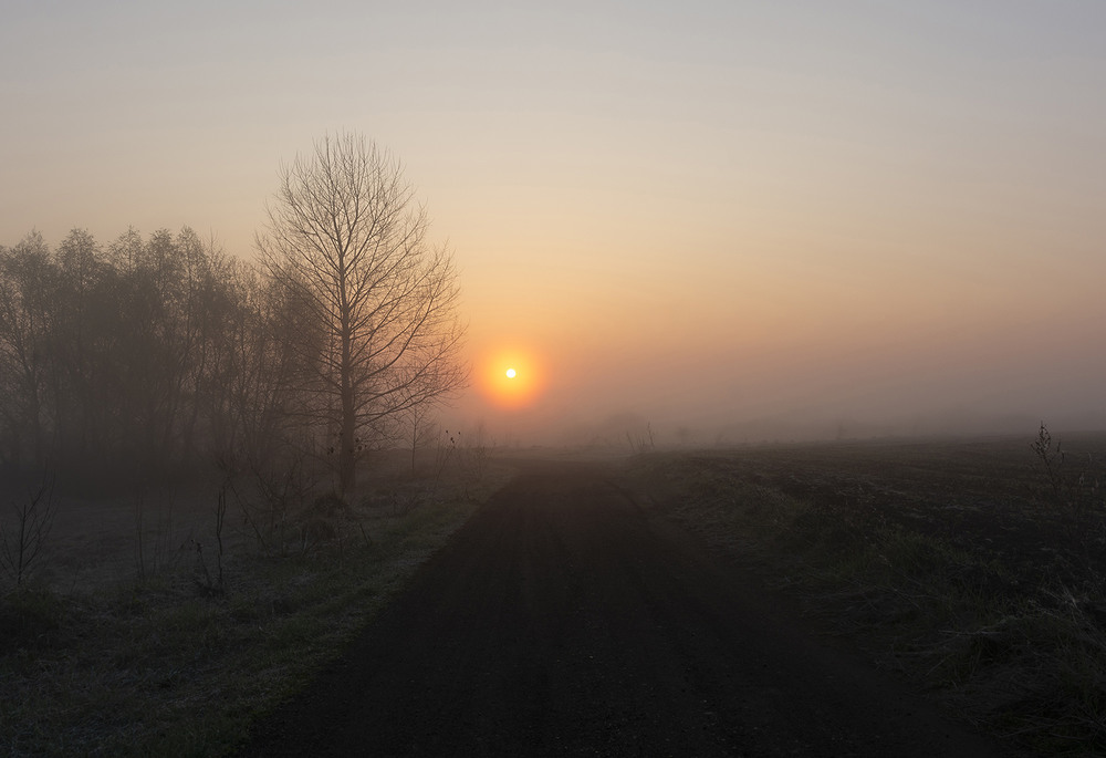 Фотографія Вийшло сонце у тумані / Николай , Мороз / photographers.ua