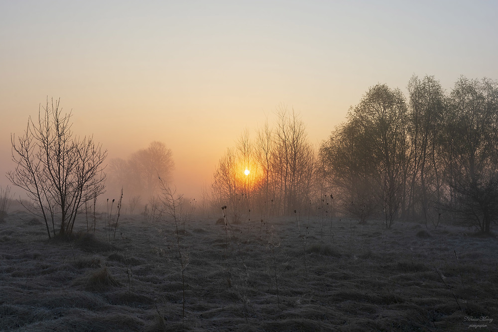 Фотографія Ранкові польові тумани / Николай , Мороз / photographers.ua