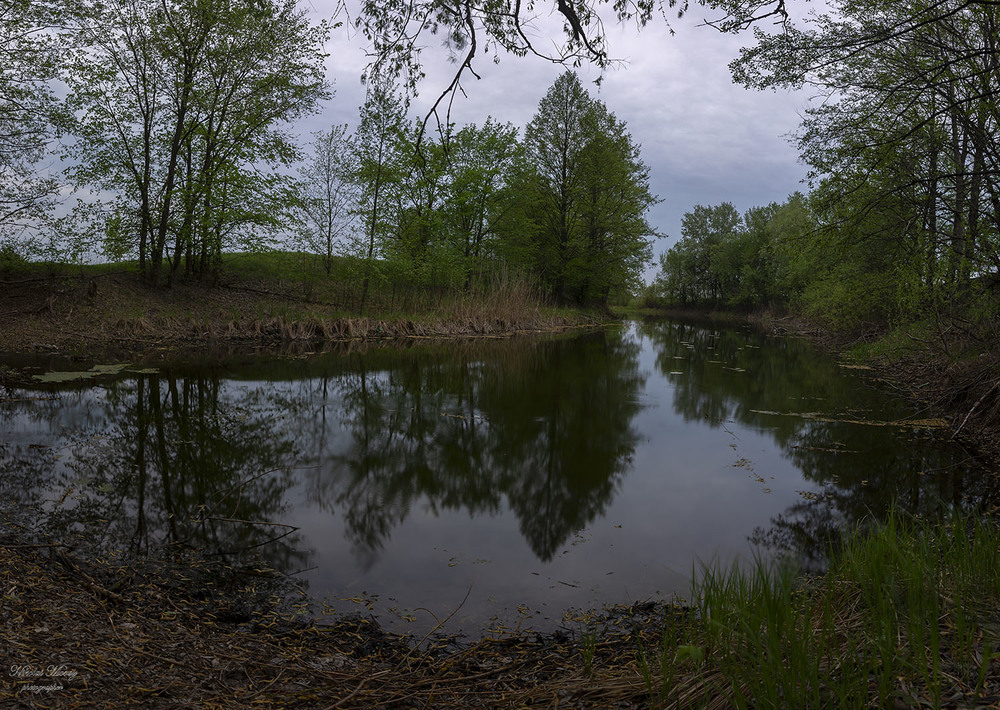 Фотографія Вечірня тиша на озерці / Николай , Мороз / photographers.ua