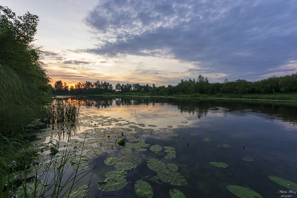 Фотографія Мелодія закату / Николай , Мороз / photographers.ua