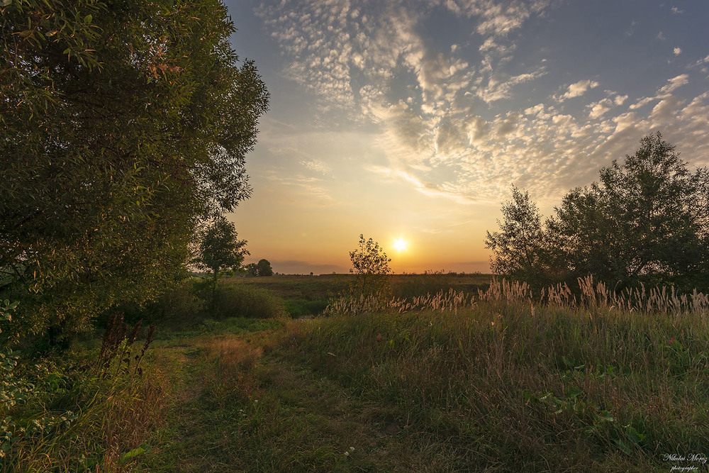 Фотографія Останнім ранком літа / Николай , Мороз / photographers.ua