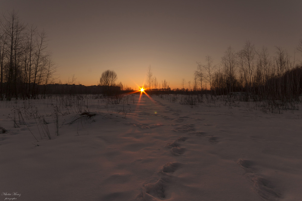 Фотографія Крокуючи за сонцем / Николай , Мороз / photographers.ua