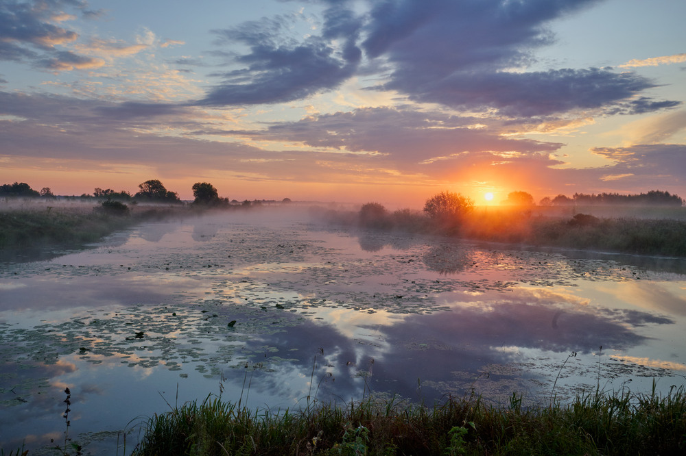 Фотографія Шахед кружляв та сонце вийшло і підсвітило цю красу / Микола Мороз / photographers.ua
