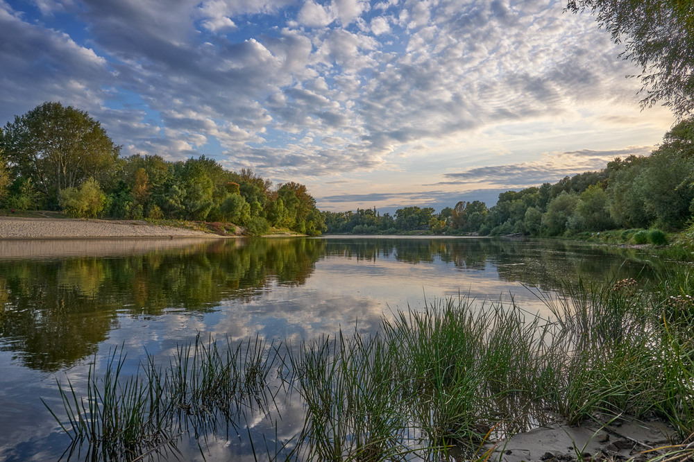Фотографія Десна надвечір / Микола Мороз / photographers.ua