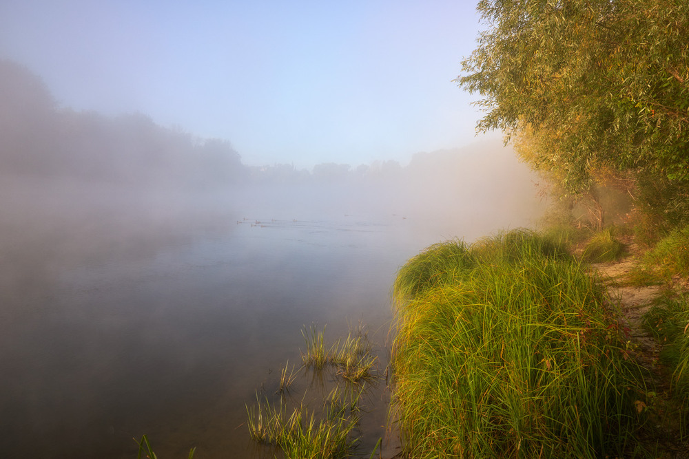 Фотографія Туман спустився над Десною / Микола Мороз / photographers.ua