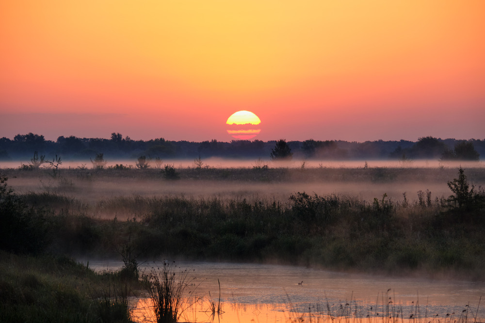 Фотографія Останній світанок серпня / Микола Мороз / photographers.ua