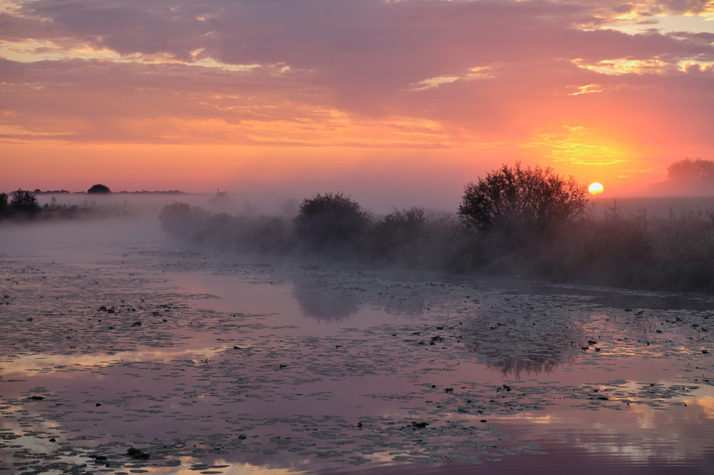 Фотографія Сходило сонце за туманом / Микола Мороз / photographers.ua