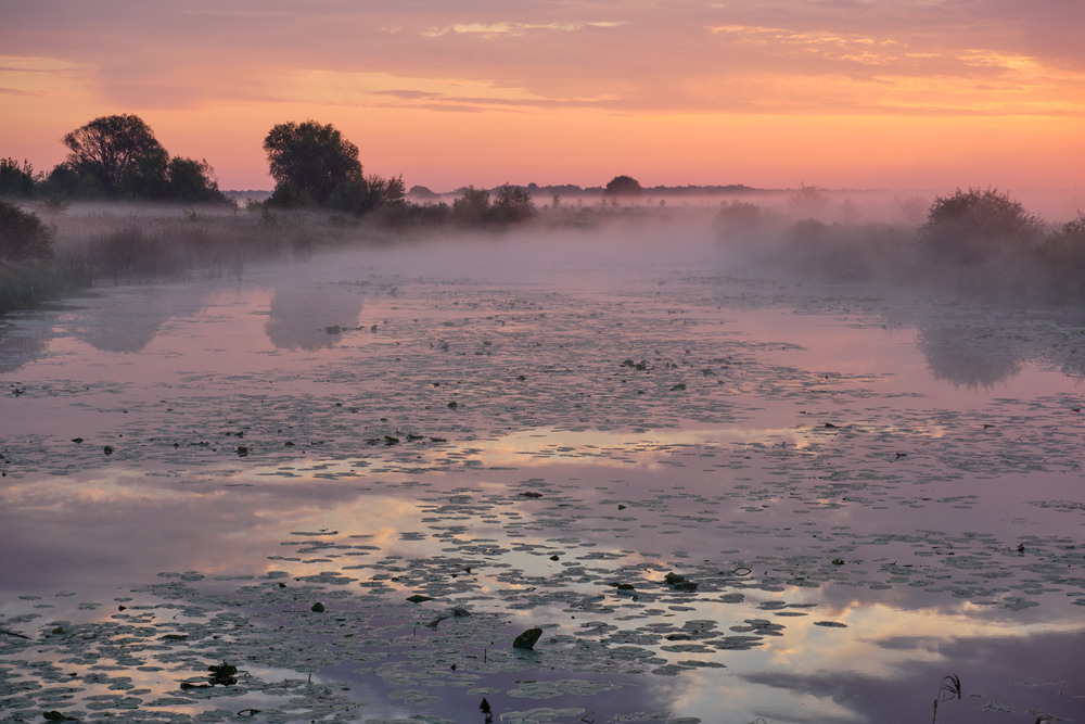 Фотографія Світанковий туман окрилює мисливця / Микола Мороз / photographers.ua