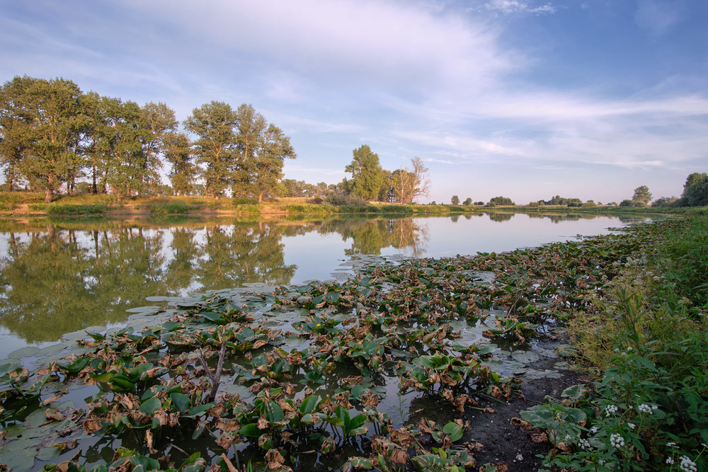 Фотографія На вечірньому оз. Глушець / Николай , Мороз / photographers.ua