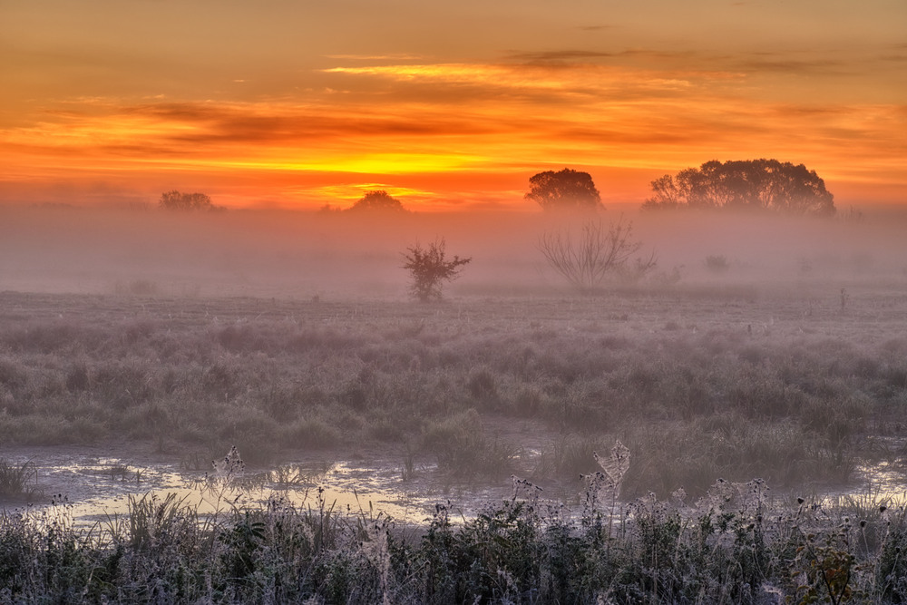 Фотографія Туманні примари на світанку / Микола Мороз / photographers.ua