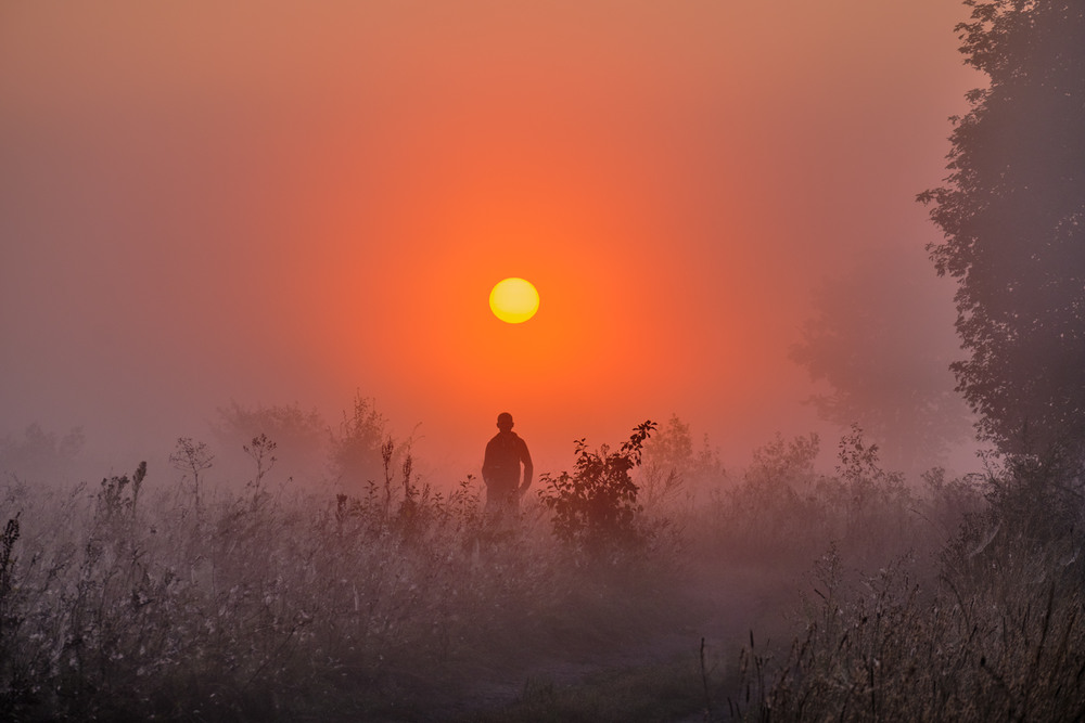Фотографія Мисливець за туманами / Николай , Мороз / photographers.ua