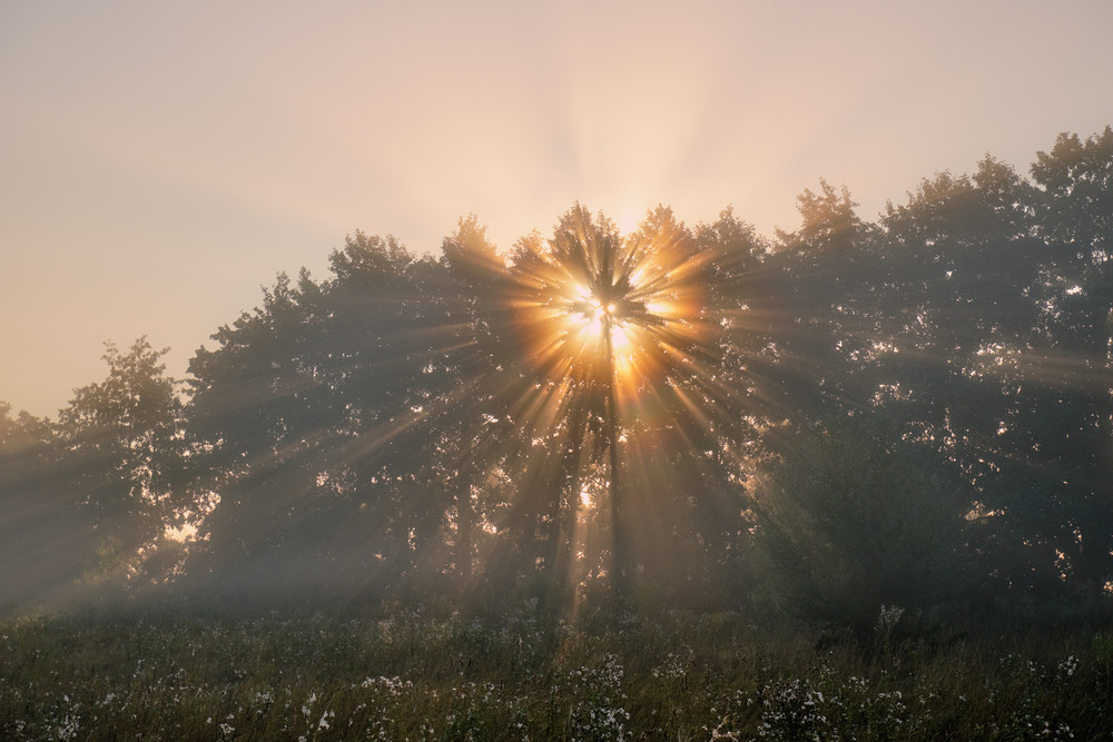 Фотографія Ранковий вибух сонця / Николай , Мороз / photographers.ua