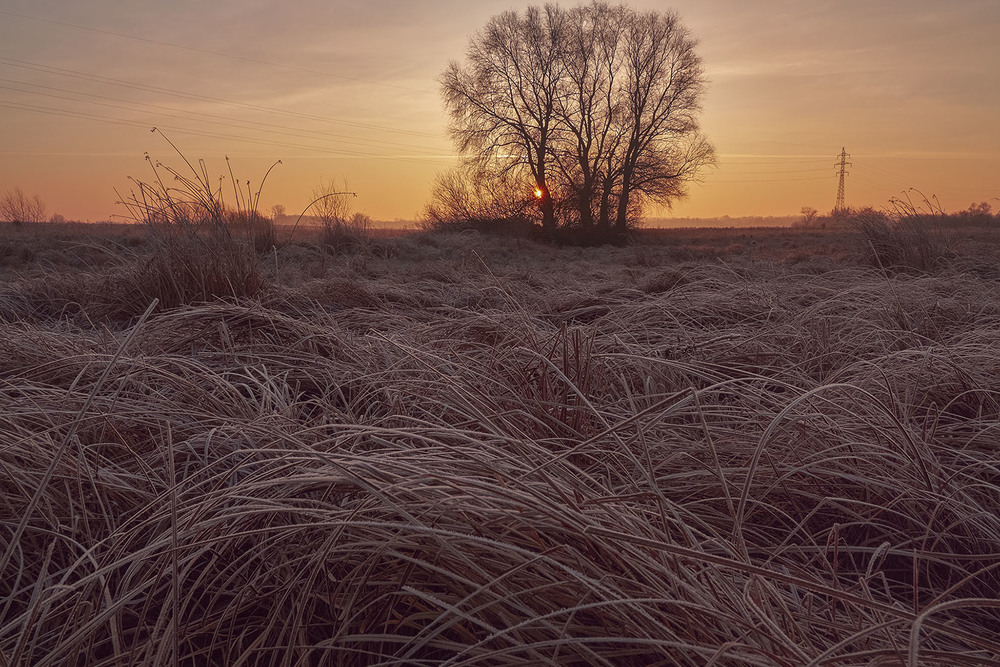 Фотографія Сонячні горизонти грудня / Николай , Мороз / photographers.ua